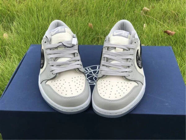 Nike Jordan 1 Retro Low Dior