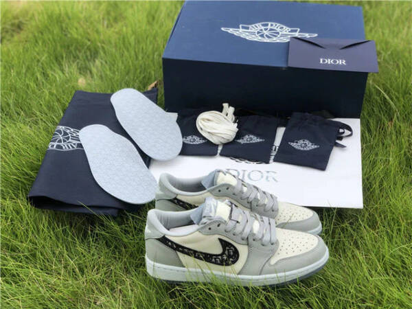 Nike Jordan 1 Retro Low Dior