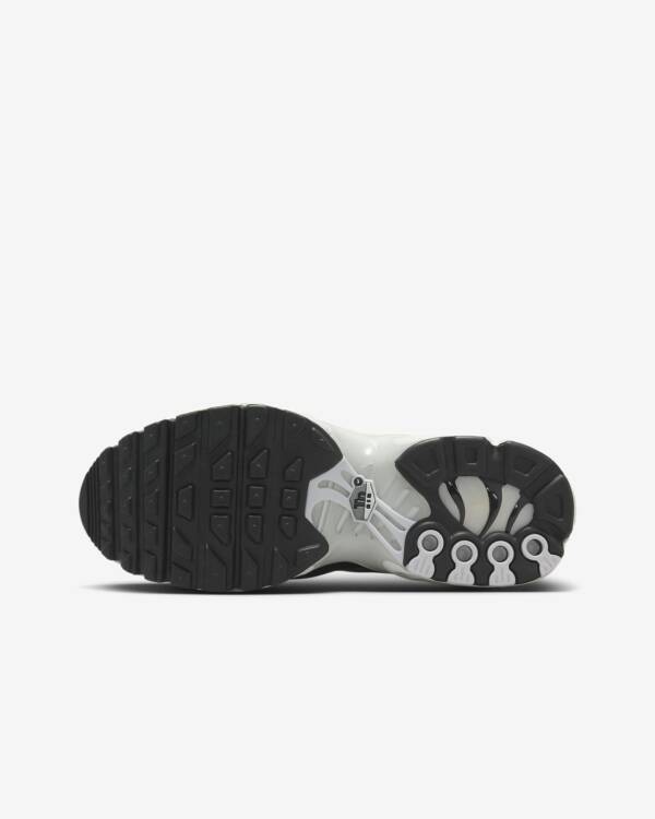 Nike Air Max Plus Tn -  Pure Platinum Metallic