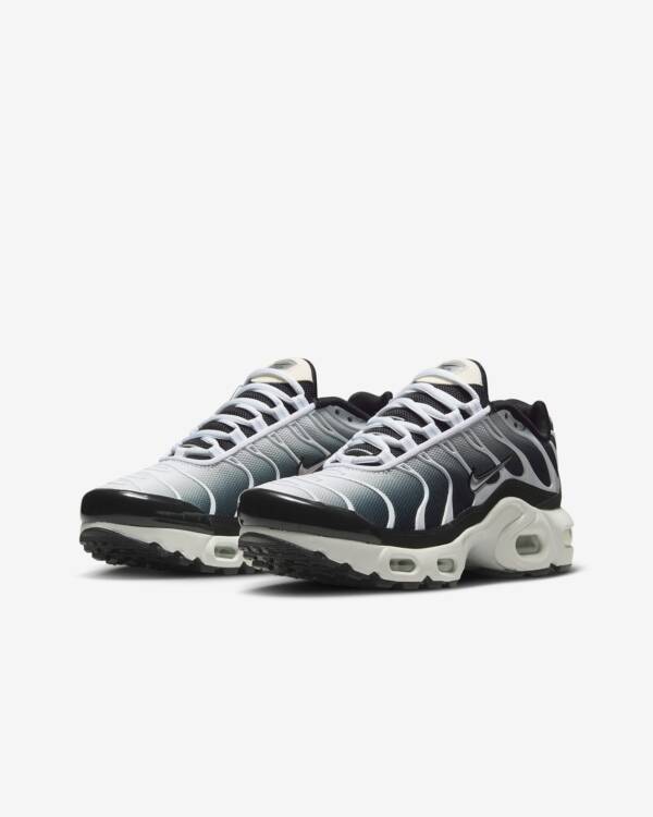 Nike Air Max Plus Tn -  Pure Platinum Metallic