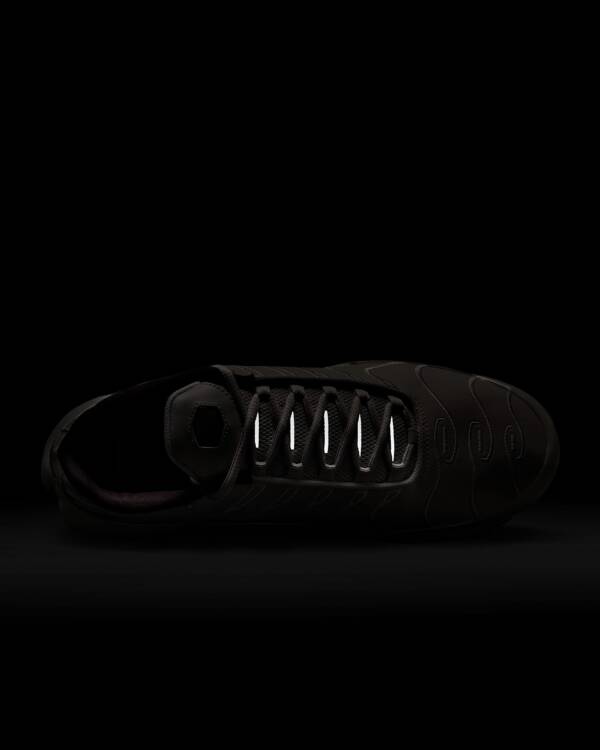 Nike Air Max Plus Tn -  Orewood Brown
