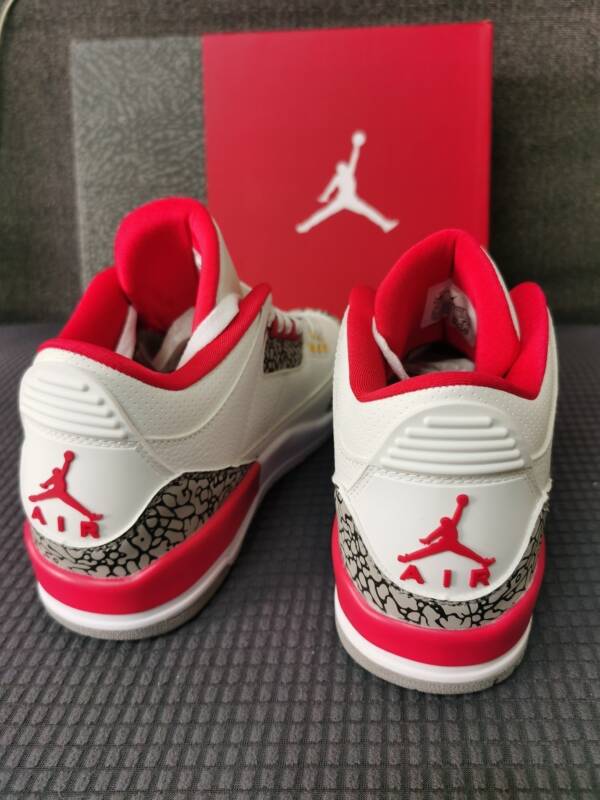 Air Jordan 3 Red Snake